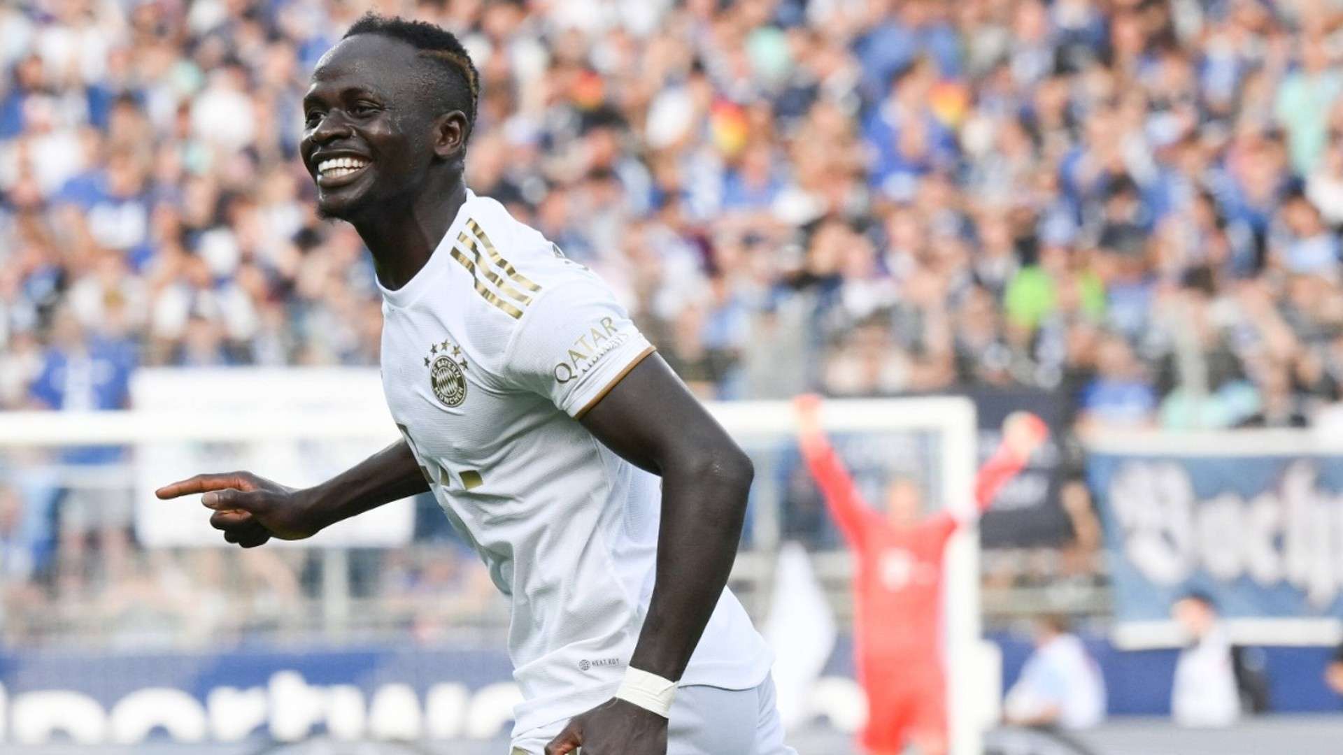 拥有出色的 拥有出色的